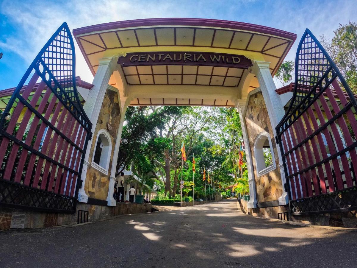 Centauria Wild Hotel Udawalawe Exterior foto